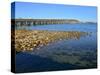 Beach Crossing from Pensacola Beach to Gulf Breezes-Paul Briden-Stretched Canvas