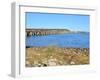 Beach Crossing from Pensacola Beach to Gulf Breezes-Paul Briden-Framed Premium Photographic Print