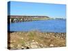 Beach Crossing from Pensacola Beach to Gulf Breezes-Paul Briden-Stretched Canvas