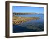Beach Crossing from Pensacola Beach to Gulf Breezes-Paul Briden-Framed Photographic Print
