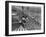 Beach Crowds as Seen from the Parachute Jump at Steeple Park, Coney Island, NY, 1950-null-Framed Photo