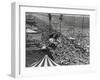 Beach Crowds as Seen from the Parachute Jump at Steeple Park, Coney Island, NY, 1950-null-Framed Photo