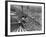 Beach Crowds as Seen from the Parachute Jump at Steeple Park, Coney Island, NY, 1950-null-Framed Photo