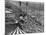 Beach Crowds as Seen from the Parachute Jump at Steeple Park, Coney Island, NY, 1950-null-Mounted Photo