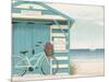 Beach Cruiser I Crop-James Wiens-Mounted Art Print