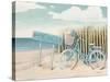 Beach Cruiser II Crop-James Wiens-Stretched Canvas