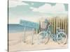 Beach Cruiser II Crop-James Wiens-Stretched Canvas