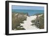 Beach Cruiser-Zhen-Huan Lu-Framed Art Print