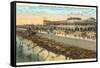 Beach, Crystal Palace, Galveston, Texas-null-Framed Stretched Canvas