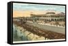 Beach, Crystal Palace, Galveston, Texas-null-Framed Stretched Canvas