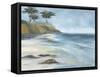 Beach Cypress-Danusia Keusder-Framed Stretched Canvas