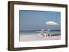 Beach Day-Zhen-Huan Lu-Framed Giclee Print