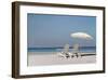 Beach Day-Zhen-Huan Lu-Framed Giclee Print