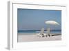 Beach Day-Zhen-Huan Lu-Framed Giclee Print