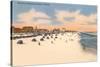 Beach, Daytona Beach, Florida-null-Stretched Canvas