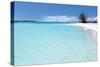 Beach Delliscay-Larry Malvin-Stretched Canvas