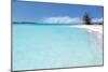 Beach Delliscay-Larry Malvin-Mounted Photographic Print