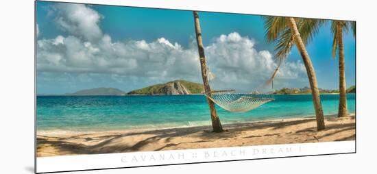 Beach Dream I-Doug Cavanah-Mounted Art Print