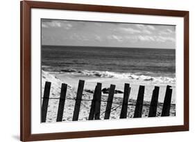 Beach Dunes Fence in Hamptons Black White-null-Framed Photo