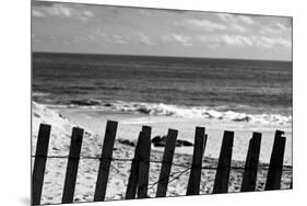 Beach Dunes Fence in Hamptons Black White-null-Mounted Photo