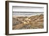 Beach Dunes-Assaf Frank-Framed Giclee Print