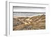 Beach Dunes-Assaf Frank-Framed Giclee Print