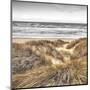 Beach Dunes-Assaf Frank-Mounted Giclee Print