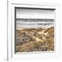 Beach Dunes-Assaf Frank-Framed Giclee Print