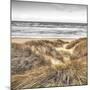 Beach Dunes-Assaf Frank-Mounted Giclee Print