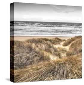 Beach Dunes-Assaf Frank-Stretched Canvas