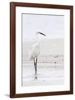 Beach Egret-Wink Gaines-Framed Giclee Print