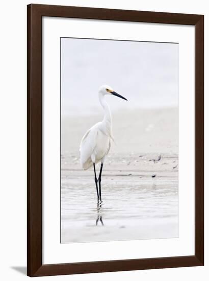 Beach Egret-Wink Gaines-Framed Giclee Print