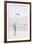 Beach Egret-Wink Gaines-Framed Giclee Print