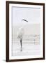 Beach Egret-Wink Gaines-Framed Giclee Print