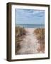 Beach Entry Path with Posts-Mary Lou Johnson-Framed Photo