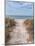 Beach Entry Path with Posts-Mary Lou Johnson-Mounted Photo