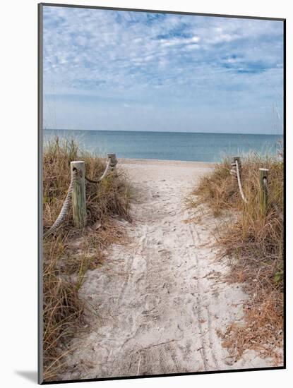 Beach Entry Path with Posts-Mary Lou Johnson-Mounted Photo