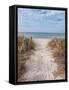 Beach Entry Path with Posts-Mary Lou Johnson-Framed Stretched Canvas