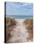 Beach Entry Path with Posts-Mary Lou Johnson-Stretched Canvas