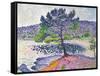 Beach, Evening Effect, 1902-Henri Edmond Cross-Framed Stretched Canvas