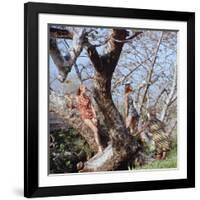 Beach Fashions-Gordon Parks-Framed Photographic Print