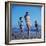 Beach Fashions-Gordon Parks-Framed Photographic Print