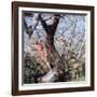 Beach Fashions-Gordon Parks-Framed Photographic Print