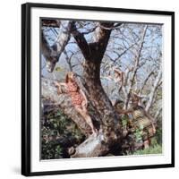 Beach Fashions-Gordon Parks-Framed Photographic Print