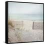 Beach Fence-Pela Studio-Framed Stretched Canvas