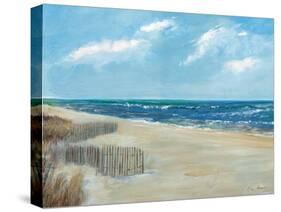 Beach Fences-Ruane Manning-Stretched Canvas