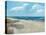 Beach Fences-Ruane Manning-Stretched Canvas