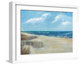 Beach Fences-Ruane Manning-Framed Art Print