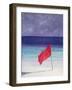 Beach Flag - Storm Warning, 1985-Lincoln Seligman-Framed Giclee Print