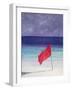Beach Flag - Storm Warning, 1985-Lincoln Seligman-Framed Giclee Print